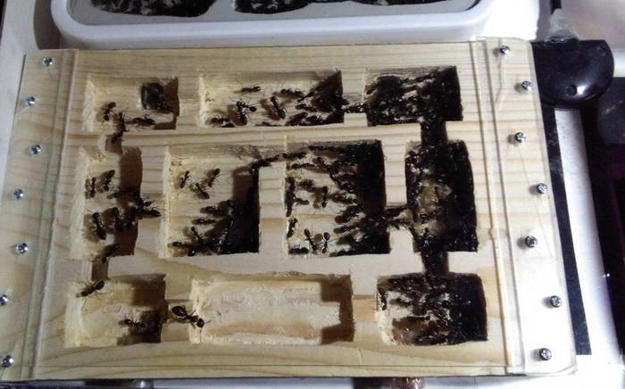  ÑÐµÑÐ¼Ð¾ÐºÐ¾Ð²ÑÐ¸ÐºÐ° 1_Ð¸Ð·Ð¼ÐµÐ½.ÑÐ°Ð·Ð¼ÐµÑ.jpg