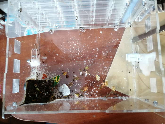 1 1_измен.ÑазмеÑ_2.jpg