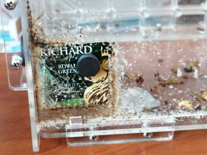 1 2_измен.ÑазмеÑ.jpg