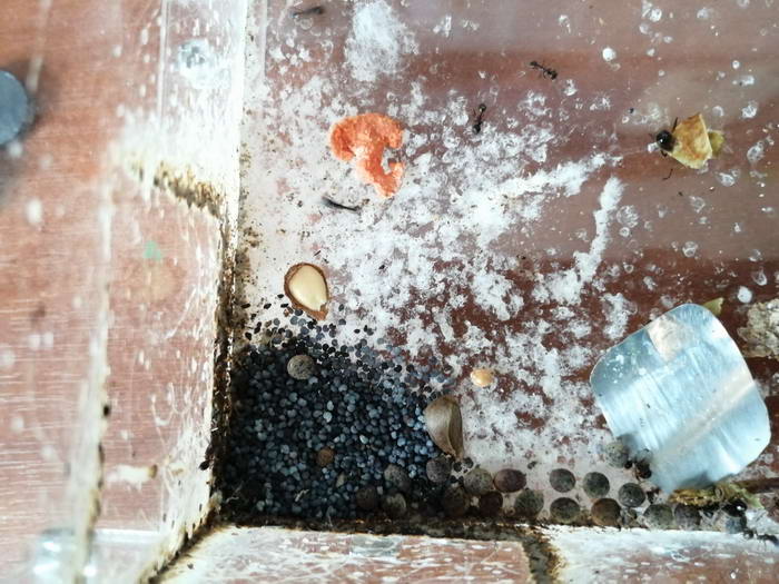 1 5_измен.ÑазмеÑ.jpg