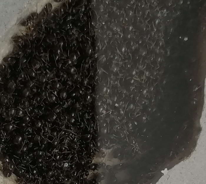  2 6_Ð¸Ð·Ð¼ÐµÐ½.ÑÐ°Ð·Ð¼ÐµÑ.jpg