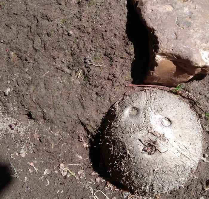 1 IMG_20190622_115504 ÑÑÑÐ¾_Ð¸Ð·Ð¼ÐµÐ½.ÑÐ°Ð·Ð¼ÐµÑ.jpg