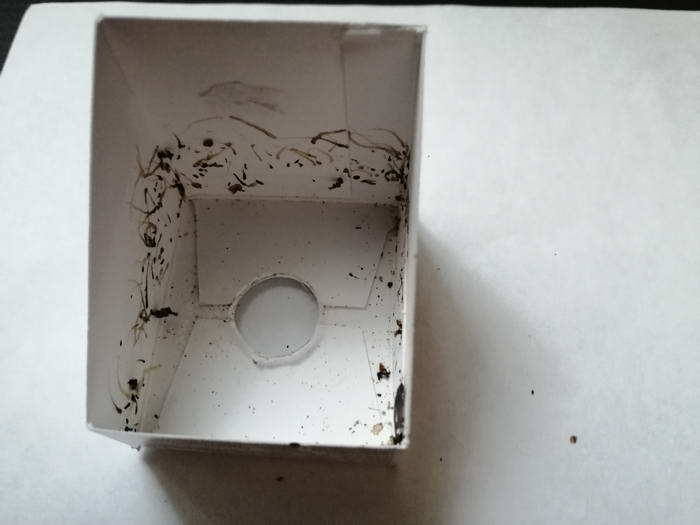 3 5_измен.ÑазмеÑ.jpg