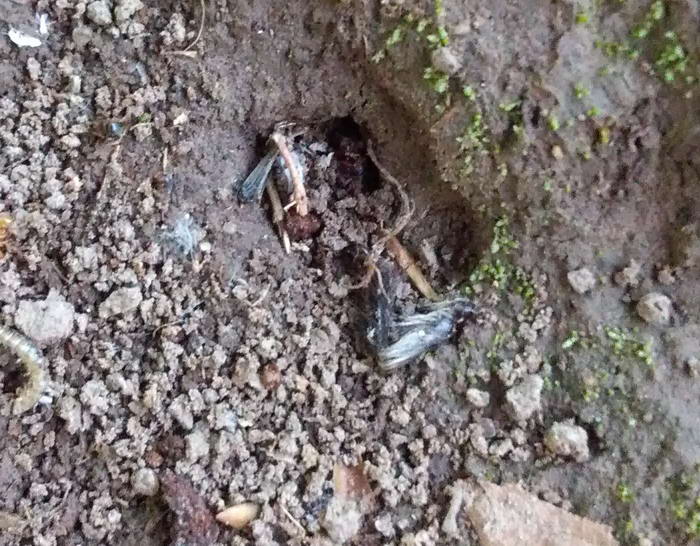 6 IMG_20190622_201253Ð·Ð°ÐºÑÑÑ_Ð¸Ð·Ð¼ÐµÐ½.ÑÐ°Ð·Ð¼ÐµÑ.jpg