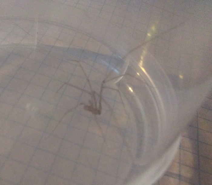 IMG_20170423_191816  1_Ð¸Ð·Ð¼ÐµÐ½.ÑÐ°Ð·Ð¼ÐµÑ.jpg