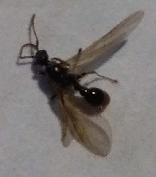 IMG_20170911_180638 (1) 1.jpg