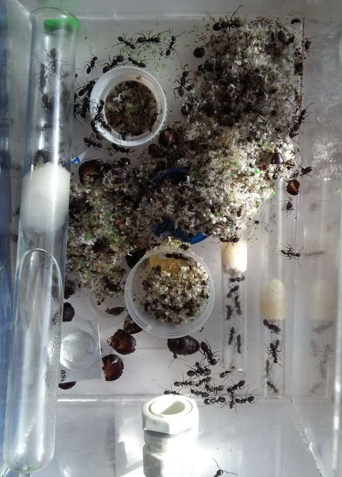 IMG_20181014_124523 Ð°ÑÐµÐ½Ð°_Ð¸Ð·Ð¼ÐµÐ½.ÑÐ°Ð·Ð¼ÐµÑ.jpg