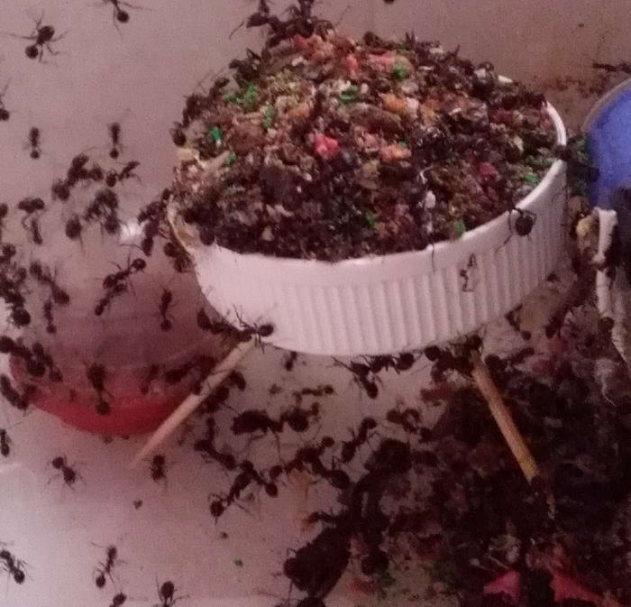 IMG_20181014_125912 Ð¼ÑÑÐ¾ÑÐºÐ° Ð¼ÐµÑÑÐ¾ÑÐ¾Ð²_Ð¸Ð·Ð¼ÐµÐ½.ÑÐ°Ð·Ð¼ÐµÑ_0.jpg