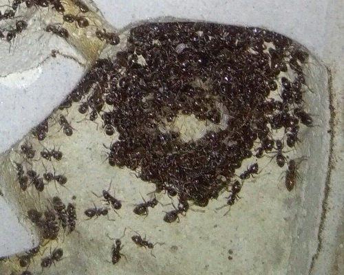 IMG_20190108_224528 12.jpg