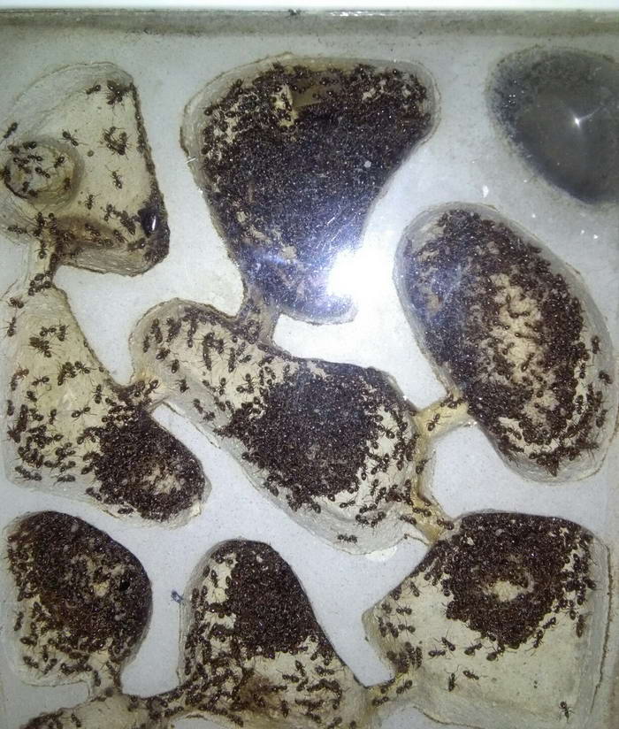 IMG_20190108_224528 1_Ð¸Ð·Ð¼ÐµÐ½.ÑÐ°Ð·Ð¼ÐµÑ.jpg