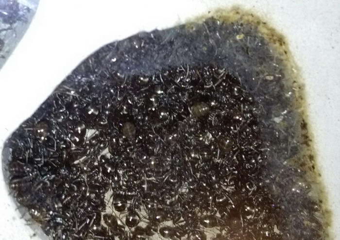 IMG_20190108_224548 111_Ð¸Ð·Ð¼ÐµÐ½.ÑÐ°Ð·Ð¼ÐµÑ.jpg