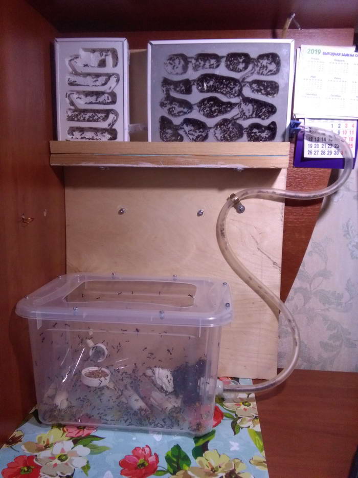 IMG_20190225_095312_Ð¸Ð·Ð¼ÐµÐ½.ÑÐ°Ð·Ð¼ÐµÑ Ð¼ÐµÑÑÐ¾ÑÑ.jpg