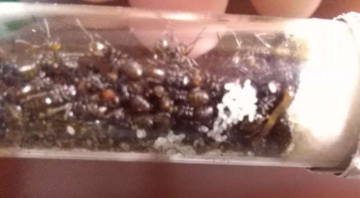 IMG_20190225_095537 Ð¿ÑÐ°ÑÐµÐ½ÑÐ¸Ñ_Ð¸Ð·Ð¼ÐµÐ½.ÑÐ°Ð·Ð¼ÐµÑ.jpg