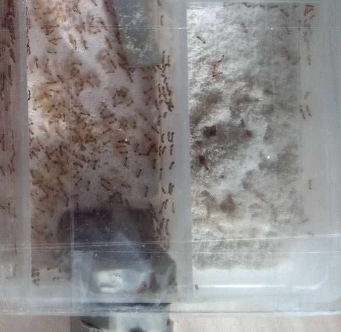 IMG_20190320_145329 Ð³Ð¸Ð¿Ñ Ð¸Ð·ÑÑÑÑÐ¹_Ð¸Ð·Ð¼ÐµÐ½.ÑÐ°Ð·Ð¼ÐµÑ_0.jpg