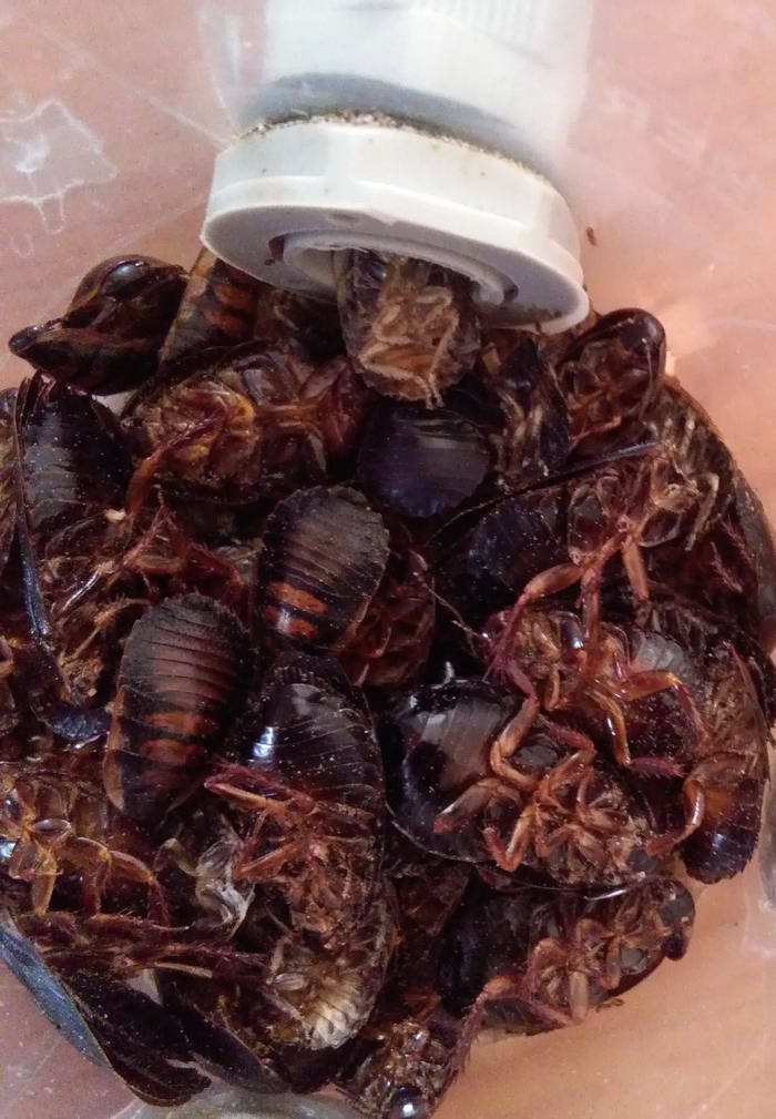 IMG_20190320_145630 ÑÐ°ÑÐ°ÐºÐ°Ð½Ñ_Ð¸Ð·Ð¼ÐµÐ½.ÑÐ°Ð·Ð¼ÐµÑ.jpg