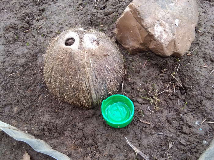 IMG_20190504_110215_Ð¸Ð·Ð¼ÐµÐ½.ÑÐ°Ð·Ð¼ÐµÑ Ð¾Ð±Ñ Ð²Ð¸Ð´.jpg