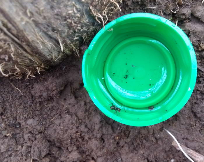 IMG_20190504_110238 ÑÐ¸ÑÐ¾Ð¿_Ð¸Ð·Ð¼ÐµÐ½.ÑÐ°Ð·Ð¼ÐµÑ.jpg