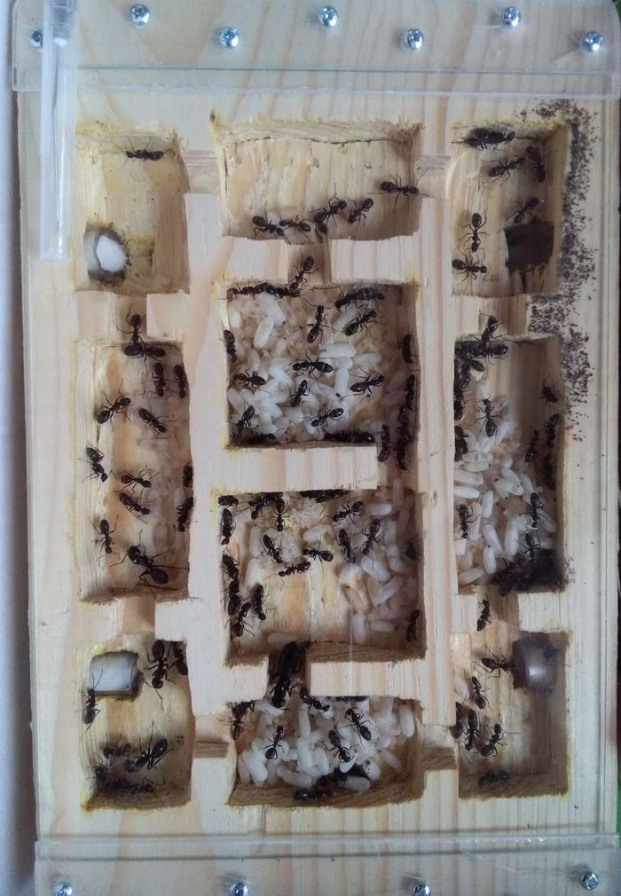 IMG_20190630_181946 обÑий вид_измен.ÑазмеÑ.jpg