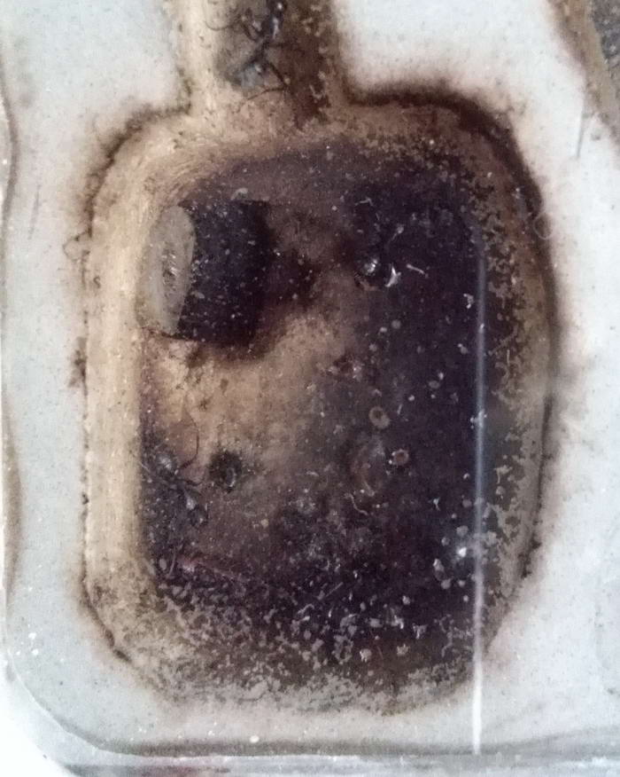 IMG_20190630_182117 ÑÐµÑÐ½_Ð¸Ð·Ð¼ÐµÐ½.ÑÐ°Ð·Ð¼ÐµÑ.jpg