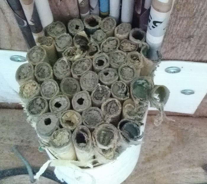 IMG_20190713_185531 1_Ð¸Ð·Ð¼ÐµÐ½.ÑÐ°Ð·Ð¼ÐµÑ.jpg