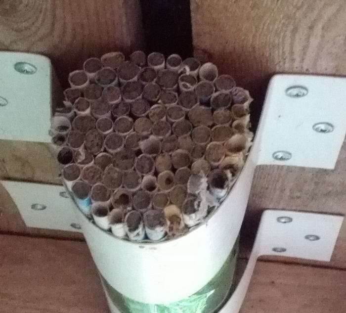 IMG_20190713_185603 3_Ð¸Ð·Ð¼ÐµÐ½.ÑÐ°Ð·Ð¼ÐµÑ.jpg