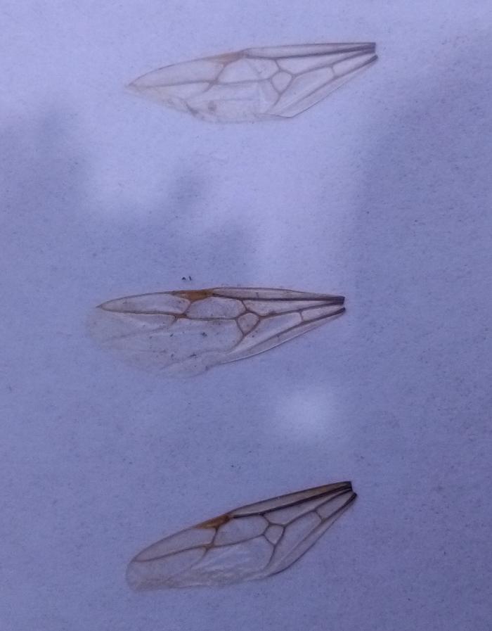 IMG_20190720_111936 1.jpg