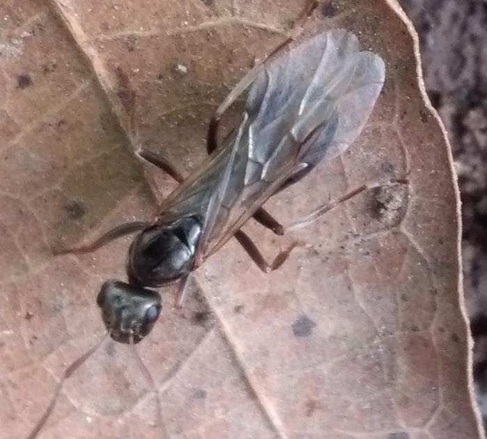 IMG_20190727_081848 ÐºÑÑÐ»Ð°ÑÐ°Ñ.jpg