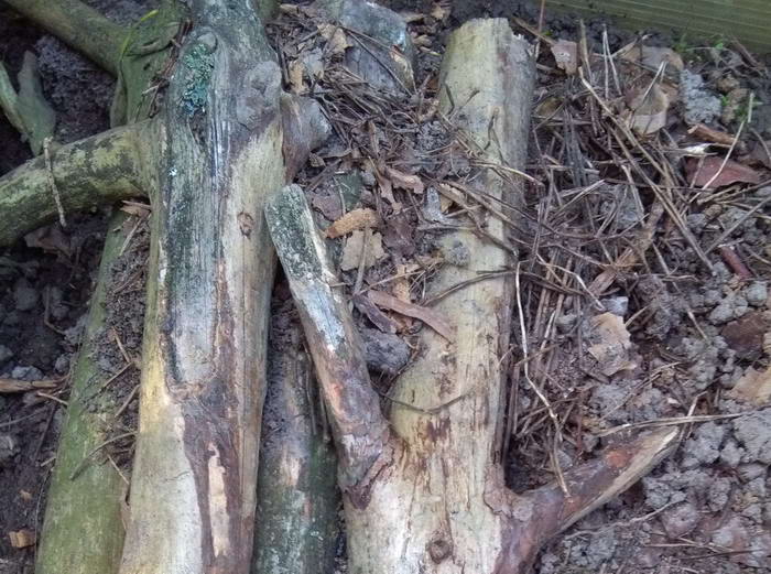 IMG_20190727_082032 ÑÐ²Ð¾Ñ_Ð¸Ð·Ð¼ÐµÐ½.ÑÐ°Ð·Ð¼ÐµÑ.jpg