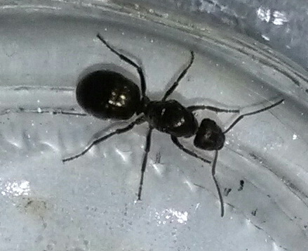 IMG_20190729_135611 1.jpg