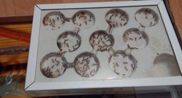 IMG_20190825_210153 Ð¼Ð¸ÑÐ¼_Ð¸Ð·Ð¼ÐµÐ½.ÑÐ°Ð·Ð¼ÐµÑ.jpg