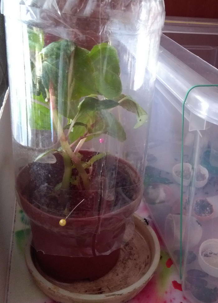 IMG_20190901_145816 Ð±Ð°Ð»ÑÐ·Ð°Ð¼Ð¸Ð½_Ð¸Ð·Ð¼ÐµÐ½.ÑÐ°Ð·Ð¼ÐµÑ.jpg