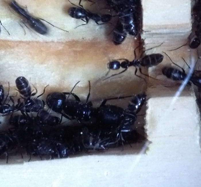 IMG_20190921_140853 Ð¼Ð°ÑÐºÐ°_Ð¸Ð·Ð¼ÐµÐ½.ÑÐ°Ð·Ð¼ÐµÑ.jpg