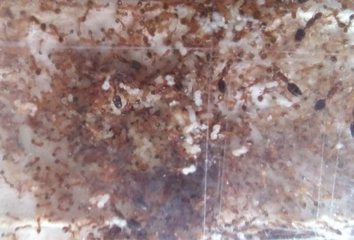 IMG_20190921_141432 12_Ð¸Ð·Ð¼ÐµÐ½.ÑÐ°Ð·Ð¼ÐµÑ.jpg