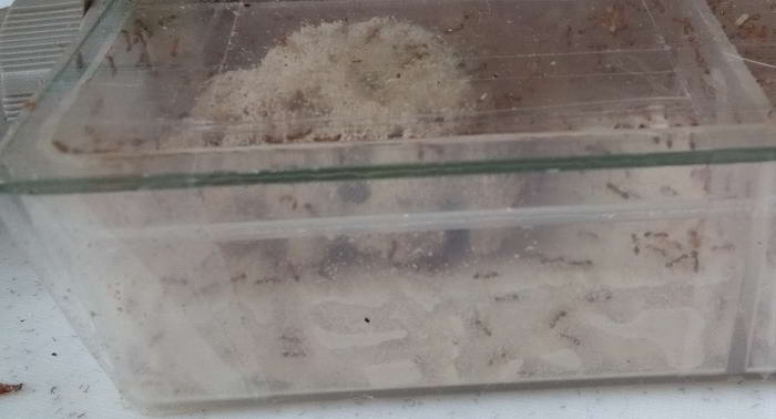 IMG_20190921_141537 Ð¸ÐµÑÐ¾Ð³ 1_Ð¸Ð·Ð¼ÐµÐ½.ÑÐ°Ð·Ð¼ÐµÑ.jpg