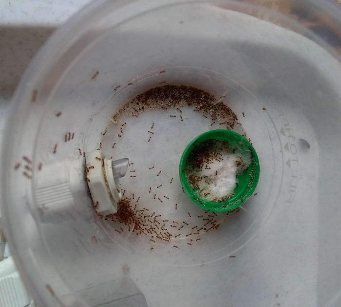 IMG_20190921_141800 Ð°ÑÐµÐ½Ð° ÑÐ°ÑÐ°Ð¾Ð½Ð¾Ð²_Ð¸Ð·Ð¼ÐµÐ½.ÑÐ°Ð·Ð¼ÐµÑ.jpg