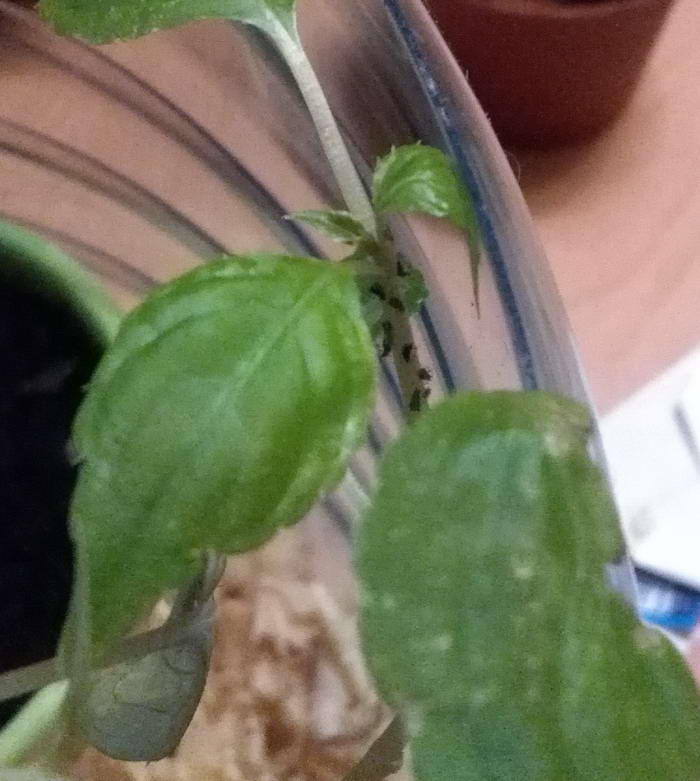 IMG_20191123_203433 1_Ð¸Ð·Ð¼ÐµÐ½.ÑÐ°Ð·Ð¼ÐµÑ.jpg