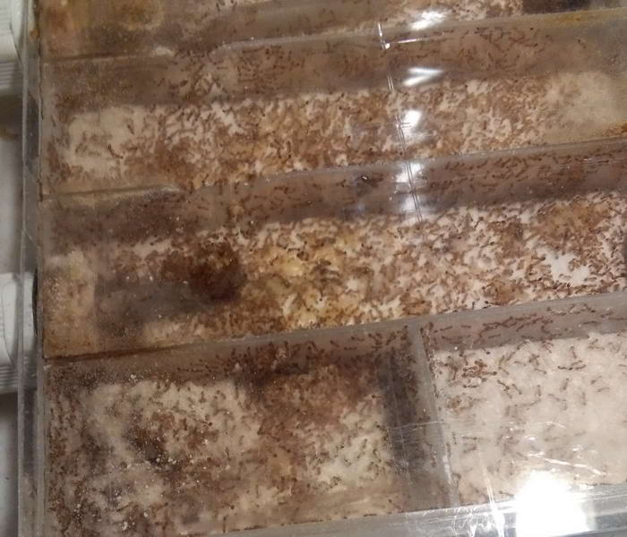 IMG_20191123_204617 ÑÐ°ÑÐ°Ð¾Ð½Ñ_Ð¸Ð·Ð¼ÐµÐ½.ÑÐ°Ð·Ð¼ÐµÑ.jpg