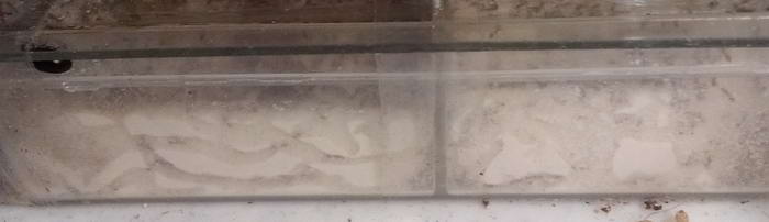 IMG_20191123_205125 Ð±Ð¾ÐºÐ¾Ð²Ð¸Ð½Ð° 2_Ð¸Ð·Ð¼ÐµÐ½.ÑÐ°Ð·Ð¼ÐµÑ.jpg