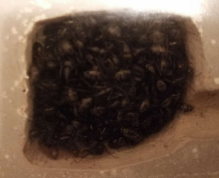 IMG_20200103_174421 2_Ð¸Ð·Ð¼ÐµÐ½.ÑÐ°Ð·Ð¼ÐµÑ.jpg