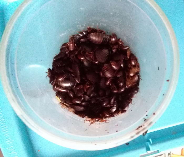 IMG_20200209_142843 Ñ_Ð¸Ð·Ð¼ÐµÐ½.ÑÐ°Ð·Ð¼ÐµÑ.jpg