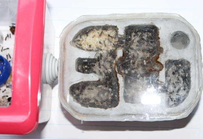 IMG_7978 1_Ð¸Ð·Ð¼ÐµÐ½.ÑÐ°Ð·Ð¼ÐµÑ.jpg