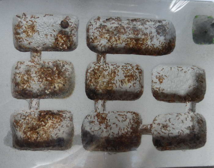 P1000703 1_Ð¸Ð·Ð¼ÐµÐ½.ÑÐ°Ð·Ð¼ÐµÑ_exposure.jpg