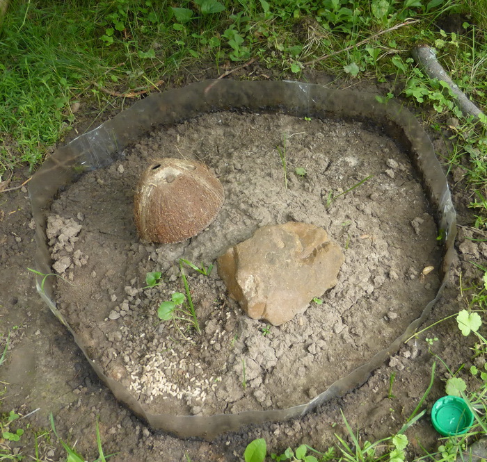 P1000733 1_Ð¸Ð·Ð¼ÐµÐ½.ÑÐ°Ð·Ð¼ÐµÑ_exposure.jpg