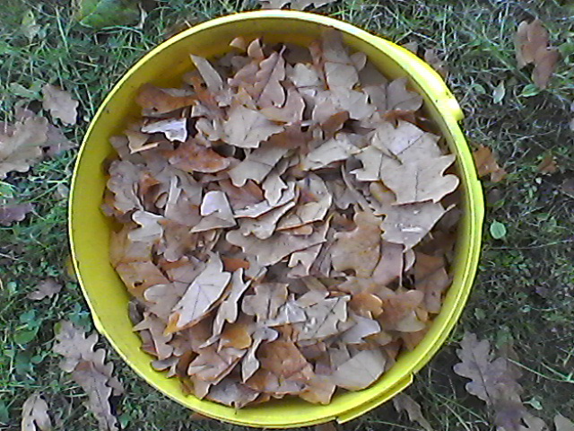 Photo0298 Ð»Ð¸ÑÑÑÑ_0.jpg