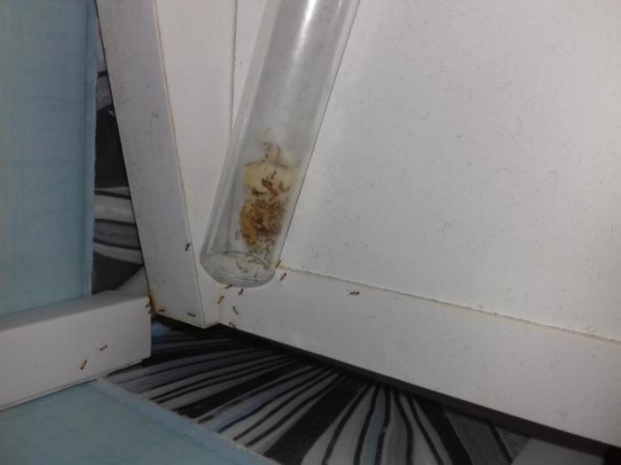 Вот это улов