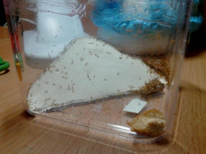 Не понимаю, как тут вообще можно жить!)