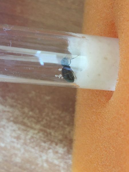 Обживаемся