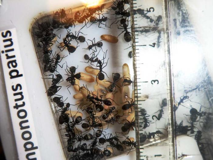 CIMG9777 (ÐопиÑоваÑÑ).JPG