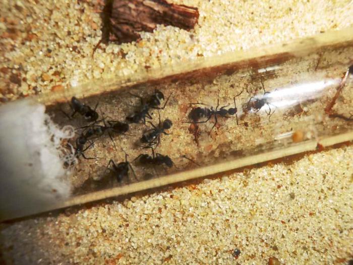 CIMG9782 (ÐопиÑоваÑÑ).JPG