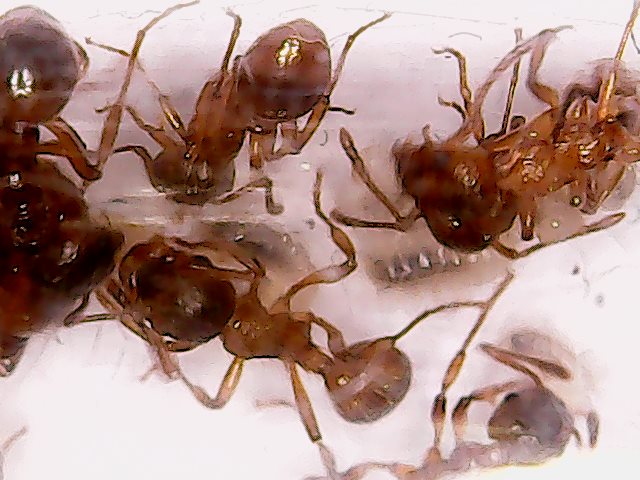 Mon Apr 30 21-41-19.jpg